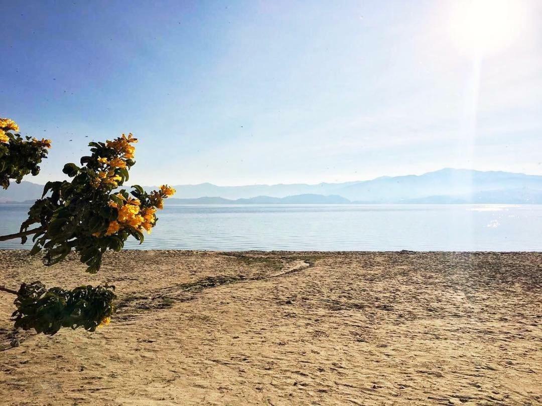 El Arca De Noah Bed & Breakfast Tota Dış mekan fotoğraf